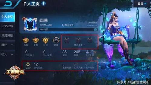 王者新天幕爆料最新版本,揭秘最新版本神秘爆料，全新内容即将上线！  第3张